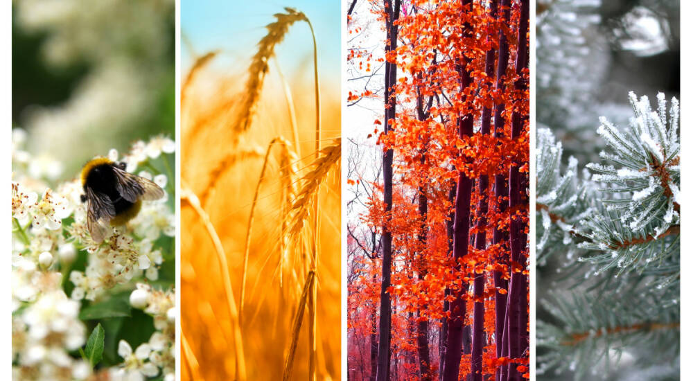 Vier Jahreszeiten Frühling, Sommer, Herbst und Winter https//de