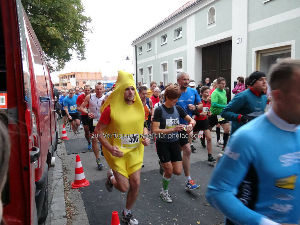 Bananenläufer, 8. Königstetter Herbstlauf 2013 (06.10.2013) 