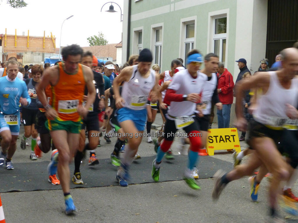 Start, 8. Königstetter Herbstlauf 2013 (06.10.2013) 