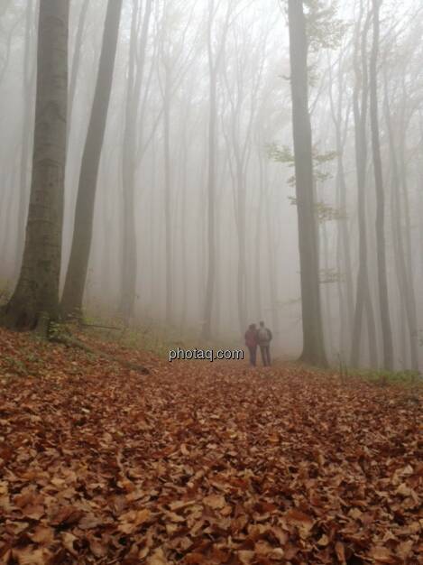 Wald, Nebel, Spaziergänger, © Martina Draper / Diverse (02.11.2013) 