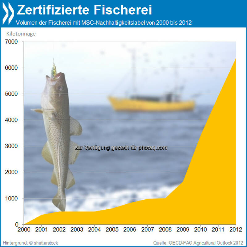 Fisch en Vogue: Seit 2008 steigt die Zahl der Fischprodukte mit ...