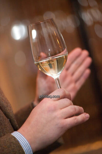 1. Brunel Achterl, Weißwein, Weinglas, Hand, © Michaela Mejta für Brunel (20.11.2013) 