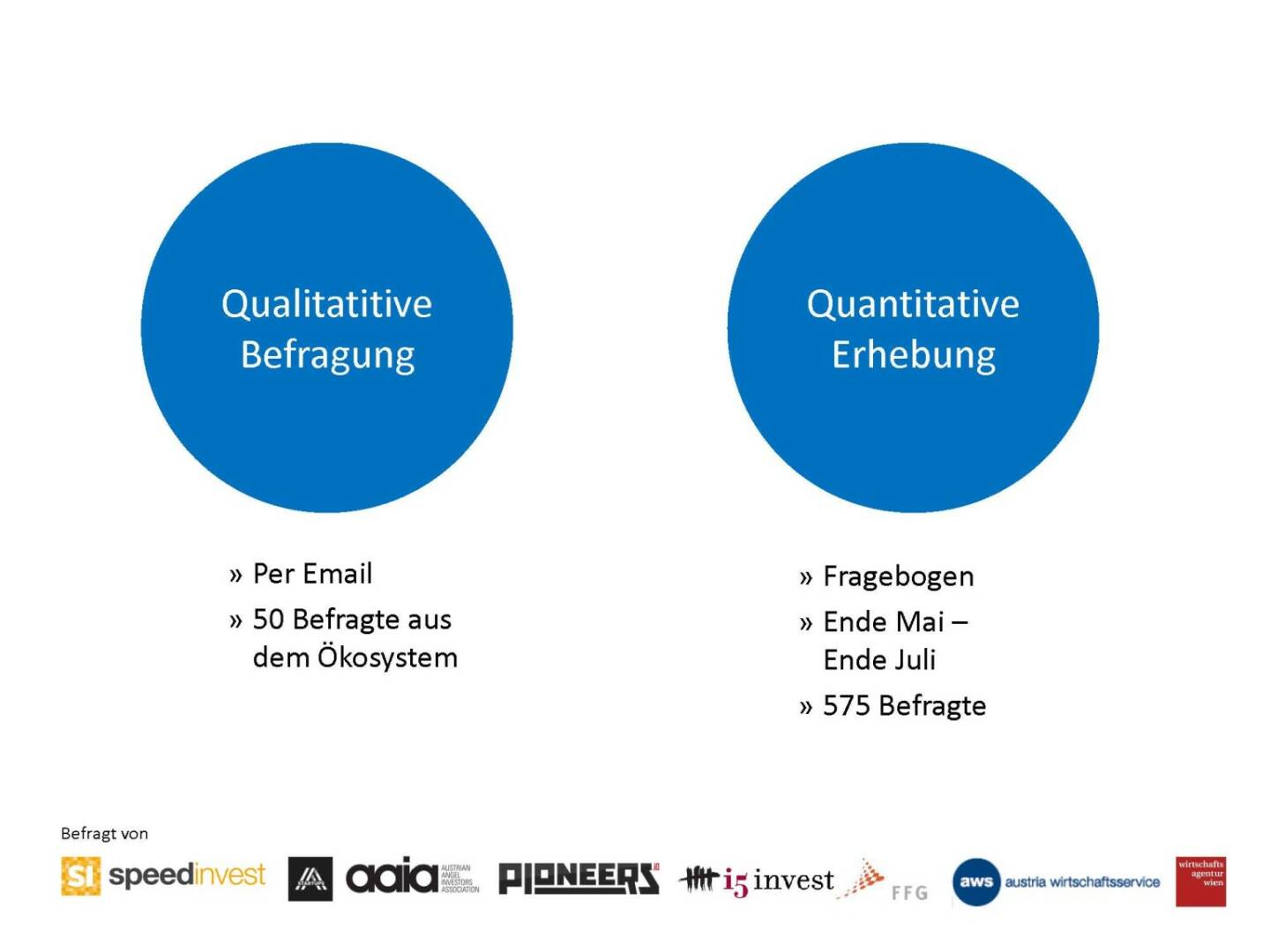 Austrian Startup Report 2013: Die Variante