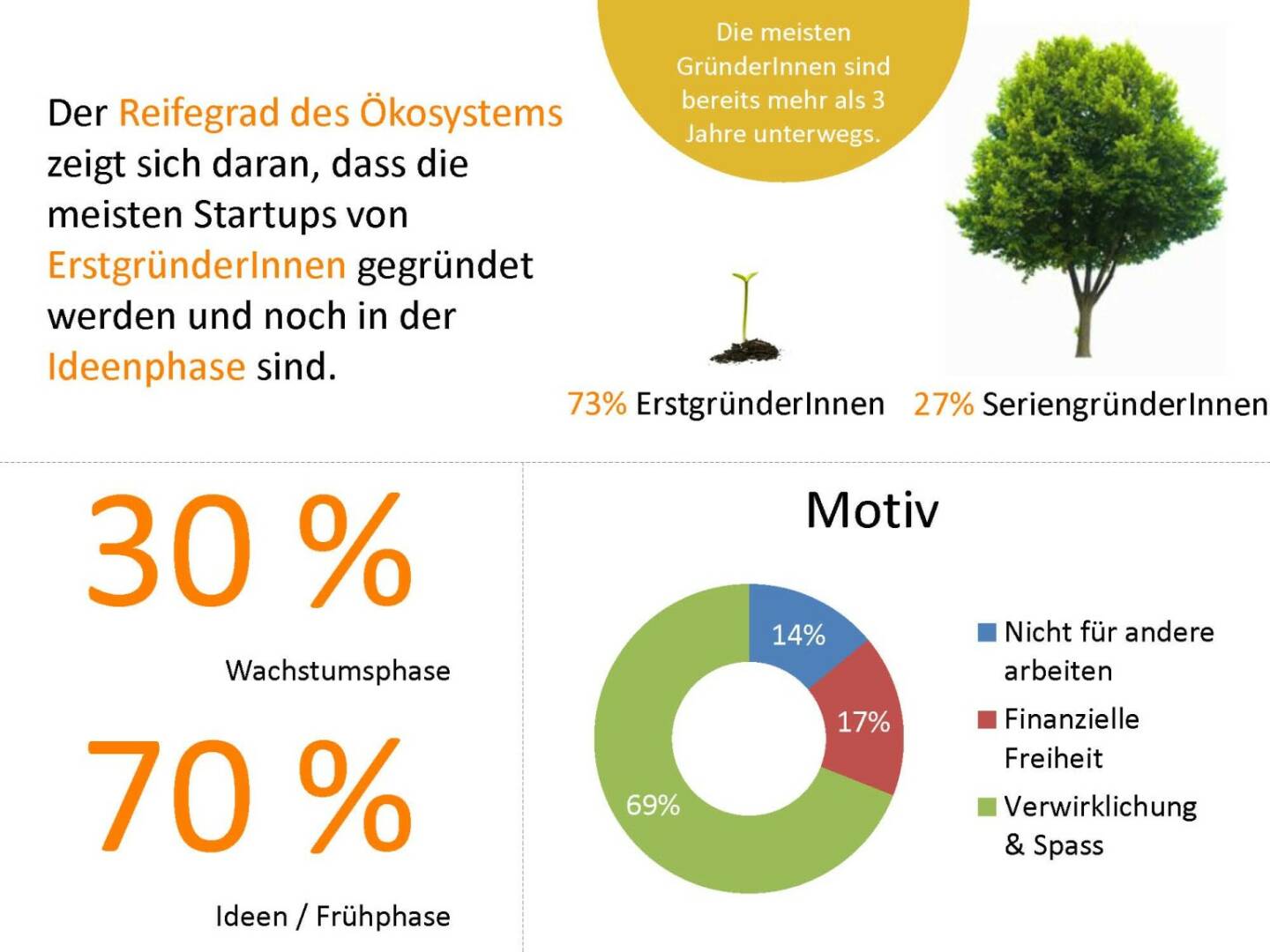 Austrian Startup Report 2013 - Reifegrad