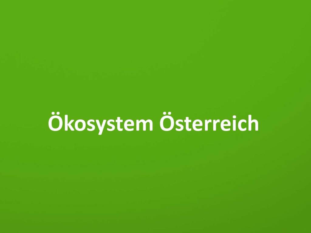 Austrian Startup Report 2013 - Ökosystem Österreich, © mit freundlicher Genehmigung von Speed Invest (26.11.2013) 