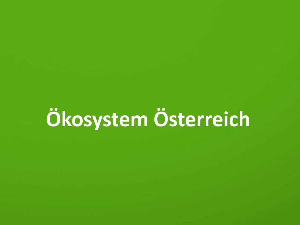 Austrian Startup Report 2013 - Ökosystem Österreich, © mit freundlicher Genehmigung von Speed Invest (26.11.2013) 