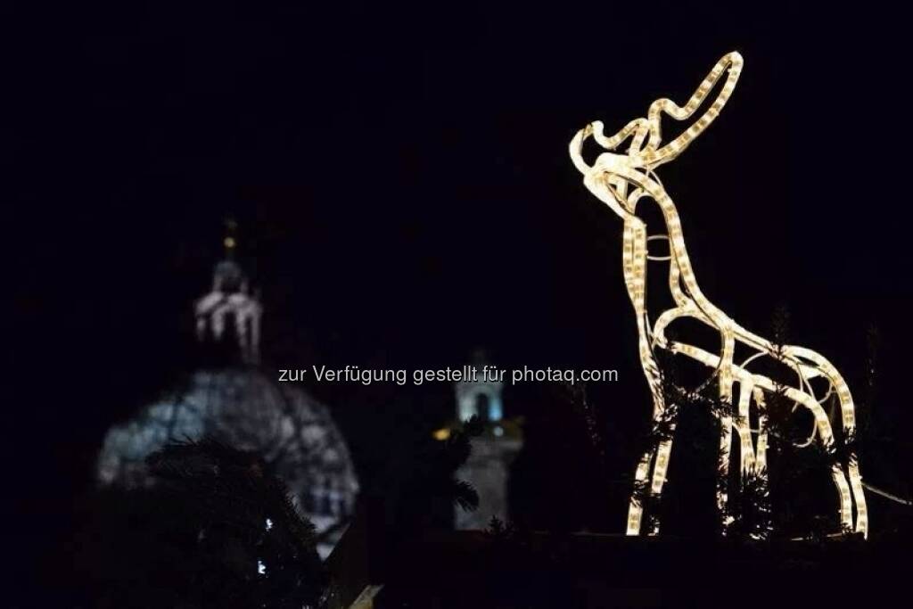 Rentier, Karlskirche, Wien, Lichter im Advent, www.fotomoldan.at, © Bernd Moldan (07.12.2013) 