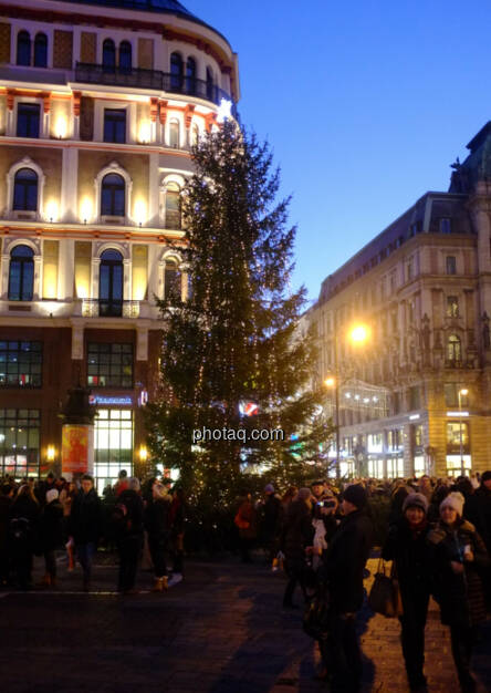 Stephansplatz (22.12.2013) 