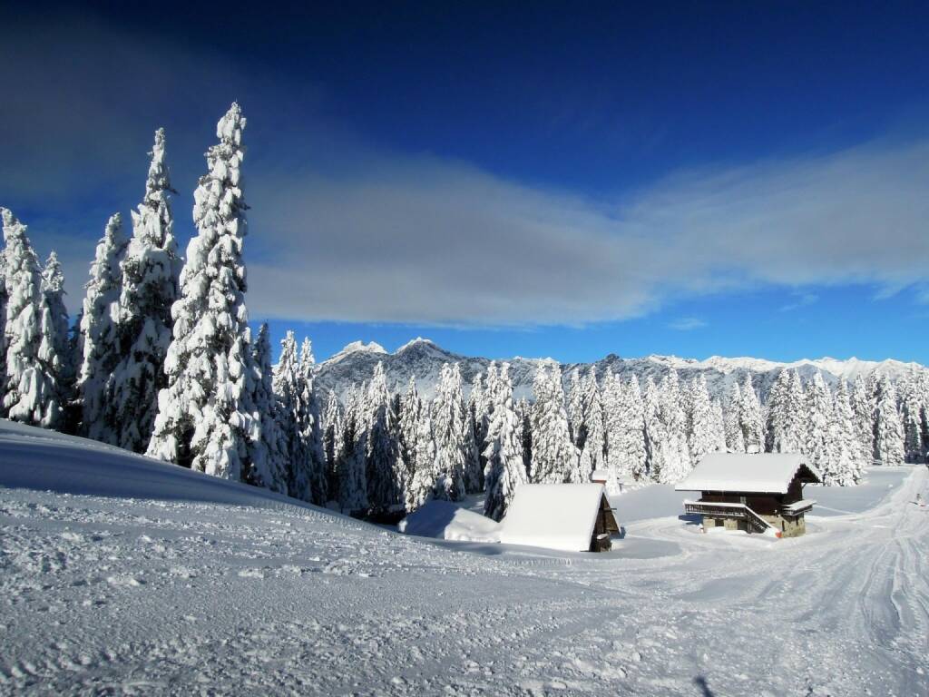 Schnee, Bäume, Hütten, Vigljoch, Südtirol, © Peter Sitte (27.12.2013) 