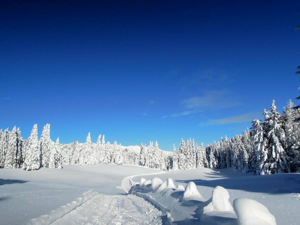 Bäume, Schnee, Weg, Vigljoch, Südtirol, © Peter Sitte (27.12.2013) 