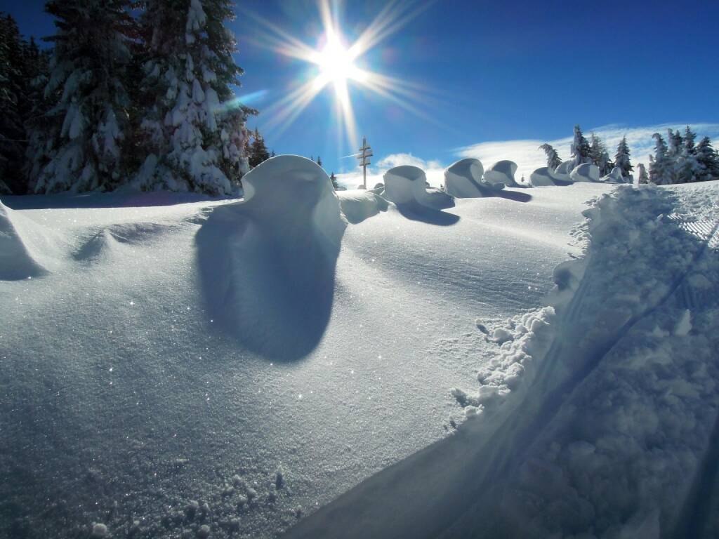 Schnee, Sonne, Vigljoch, Südtirol, © Peter Sitte (27.12.2013) 