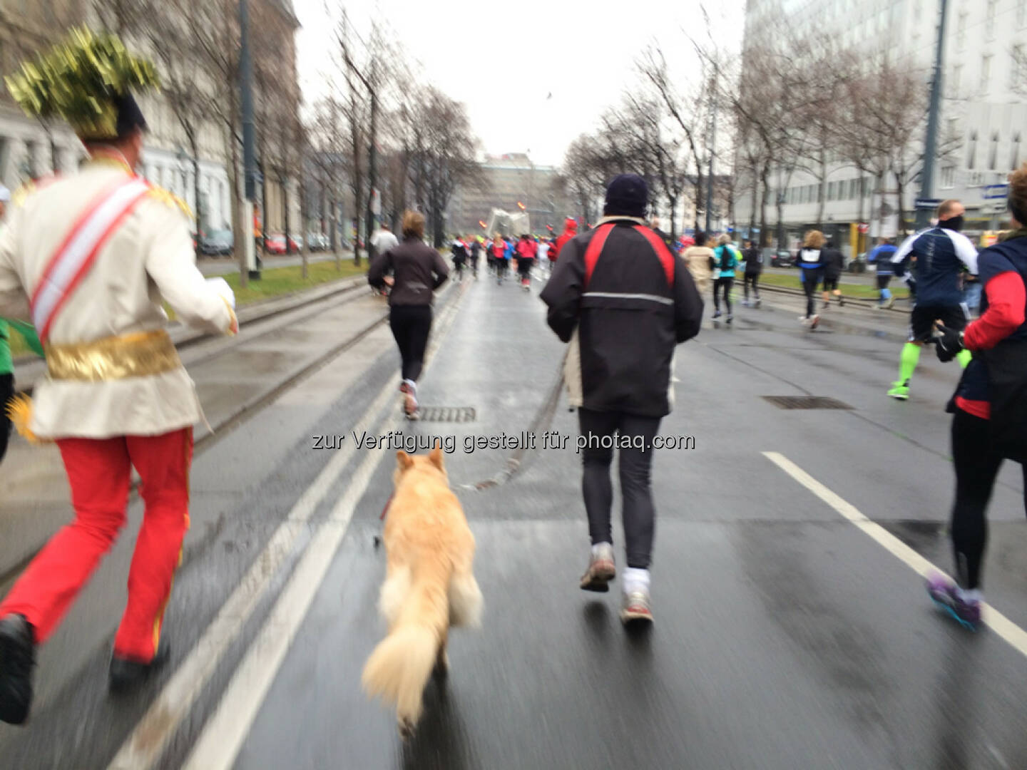 LCC Silvesterlauf 2013