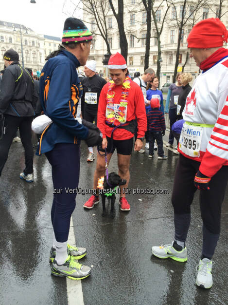 LCC Silvesterlauf 2013, © Martina Draper (31.12.2013) 