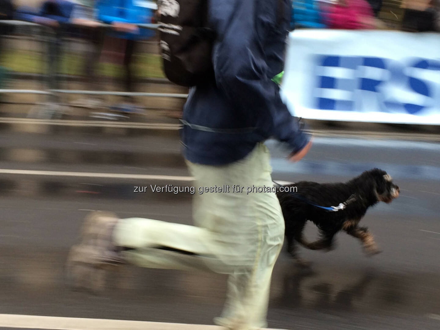 LCC Silvesterlauf 2013