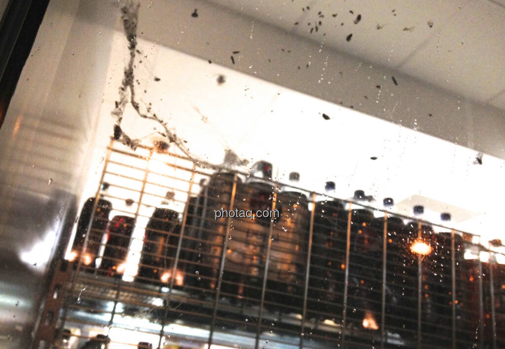 Ein paar Fliegen in der Fensterscheibe vom Billa (05.02.2014) 