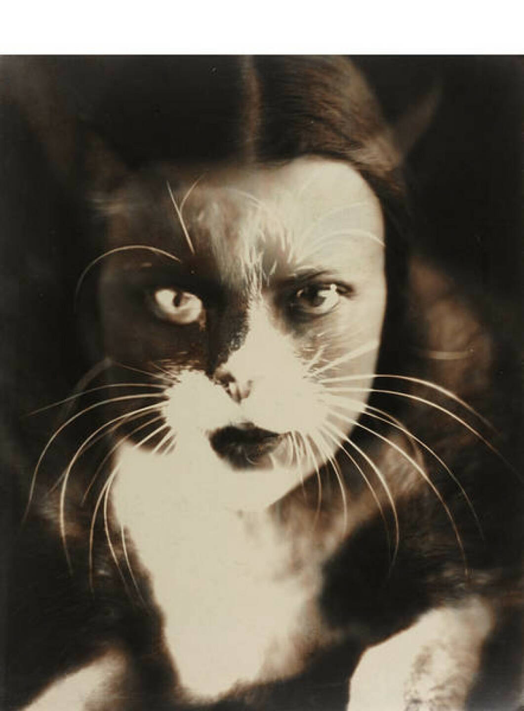 Wanda Wulz (1903–1984) ‘Io + Gatto’ (Selbstporträt), 1932, Silbergelatine-Abzug, geprintet frühe 1950er, 29,4 x 23,5 cm. Von der Fotografin auf der Rückseite signiert und betitelt “Io + Gatto, Fotografia Wanda Wulz, Schätzpreis: 80.000 - 100.000 EUR