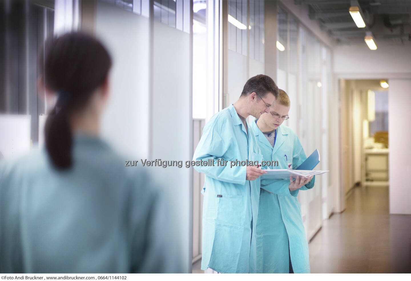 Intercell Imagebilder Forschung