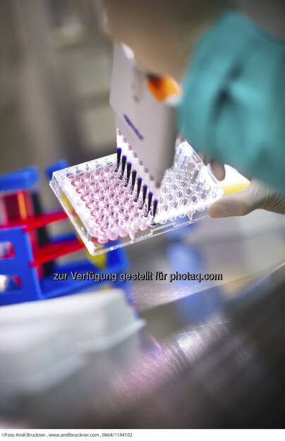 Intercell Imagebilder Forschung, © Andi Bruckner - Homepage Intercell (16.12.2012) 