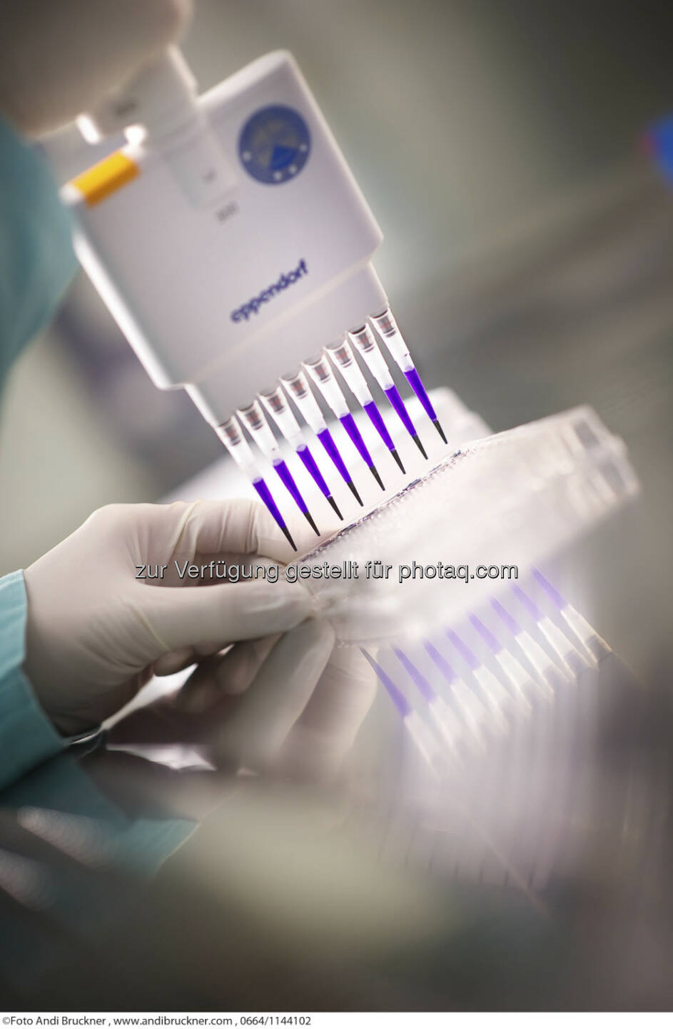 Intercell Imagebilder Forschung