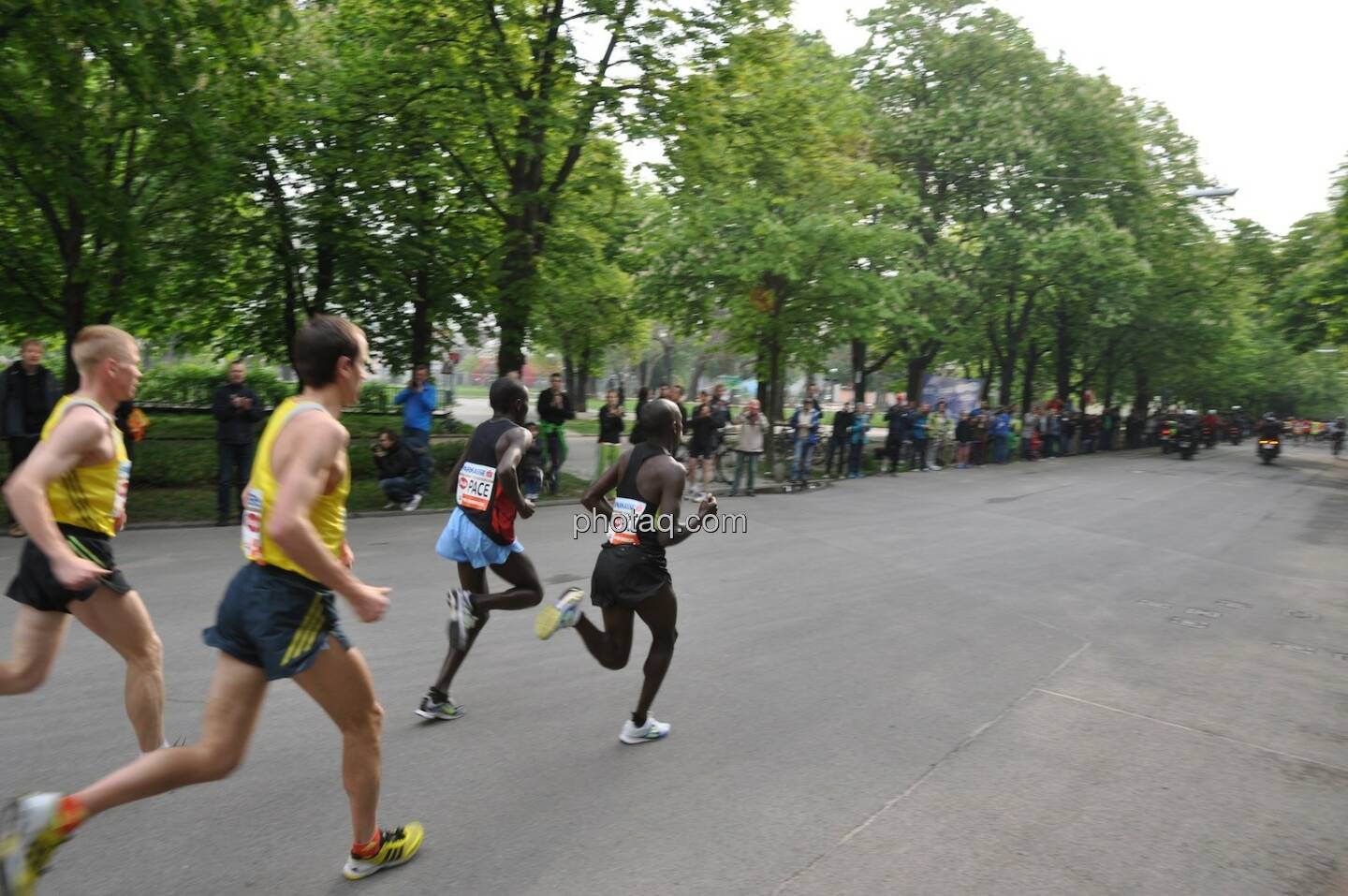 VCM 2014