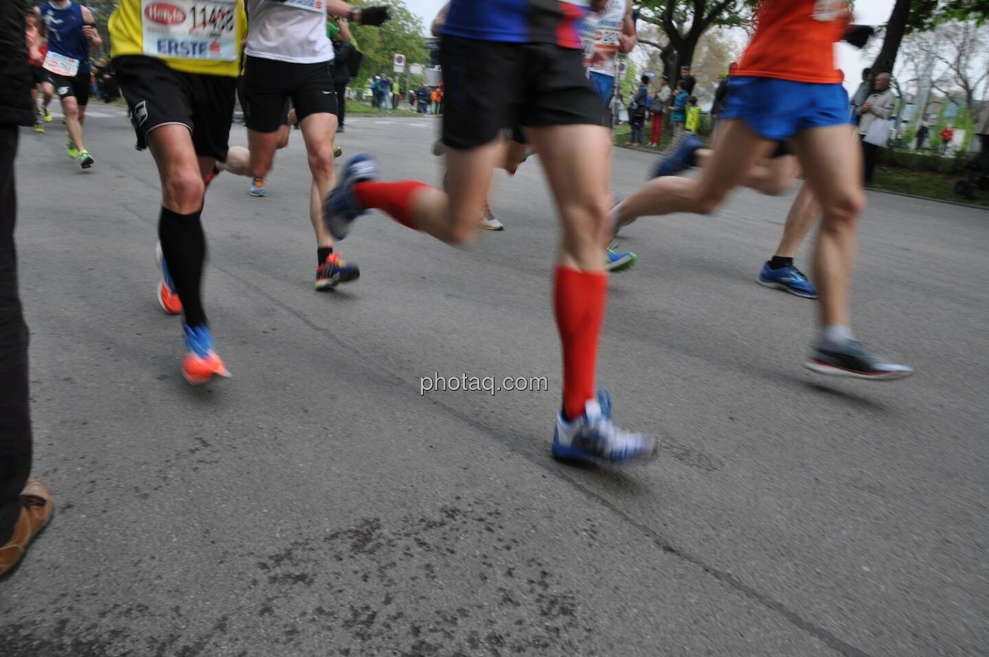 VCM 2014