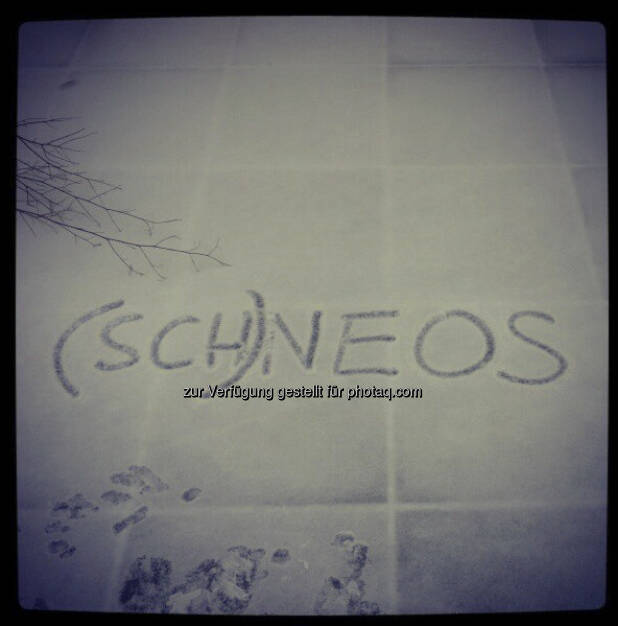 (Sch)neos by Neos, Instagram-Pic mit freundlicher Genehmigung von Beate Meinl-Reisinger (19.12.2012) 