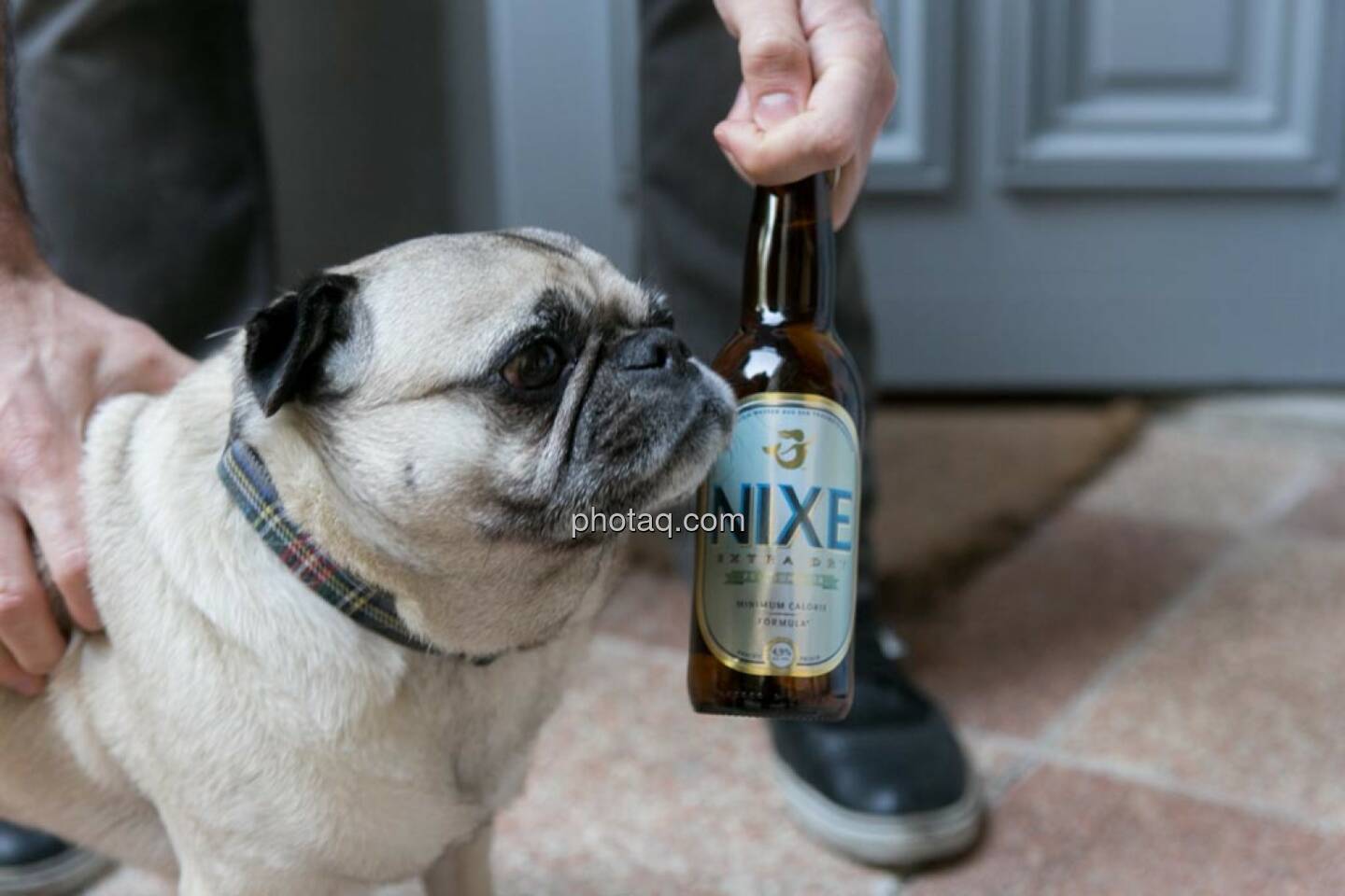 Mops, Nixe Bier