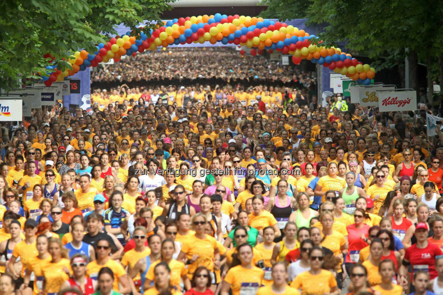 Österreichischer Frauenlauf 2014, Start (C) DIENER / Philipp Schalber