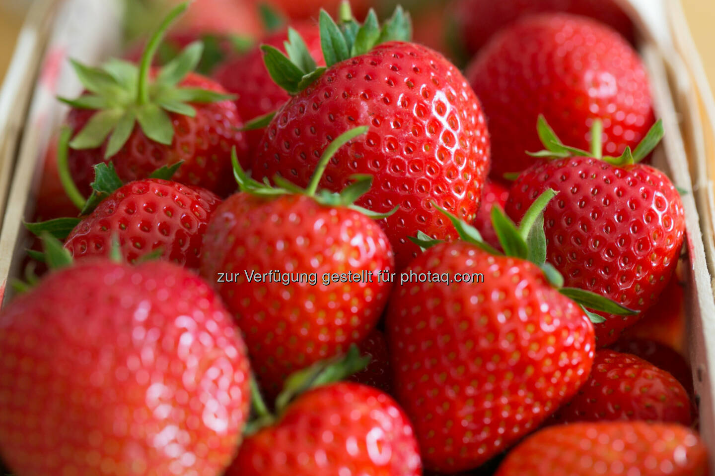 Erdbeeren