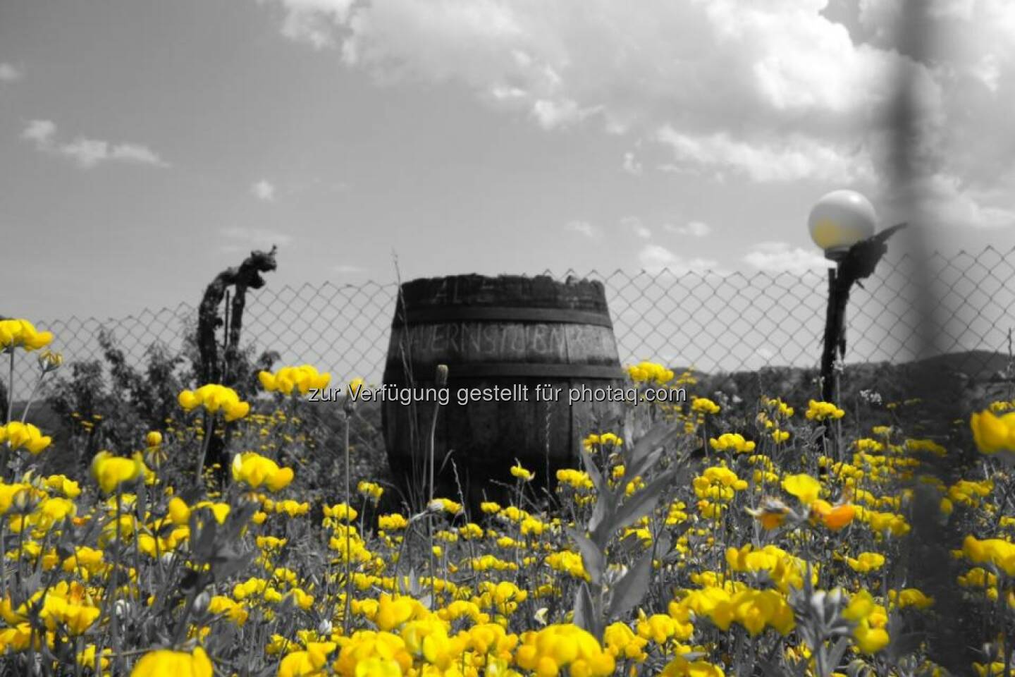 Bauern, Blumen, gelb