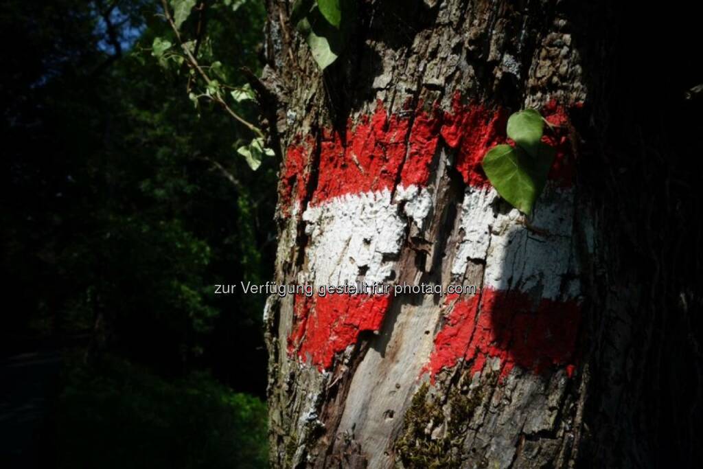 Rot-weiss-rot, Österreich, © Dirk Herrmann (29.06.2014) 