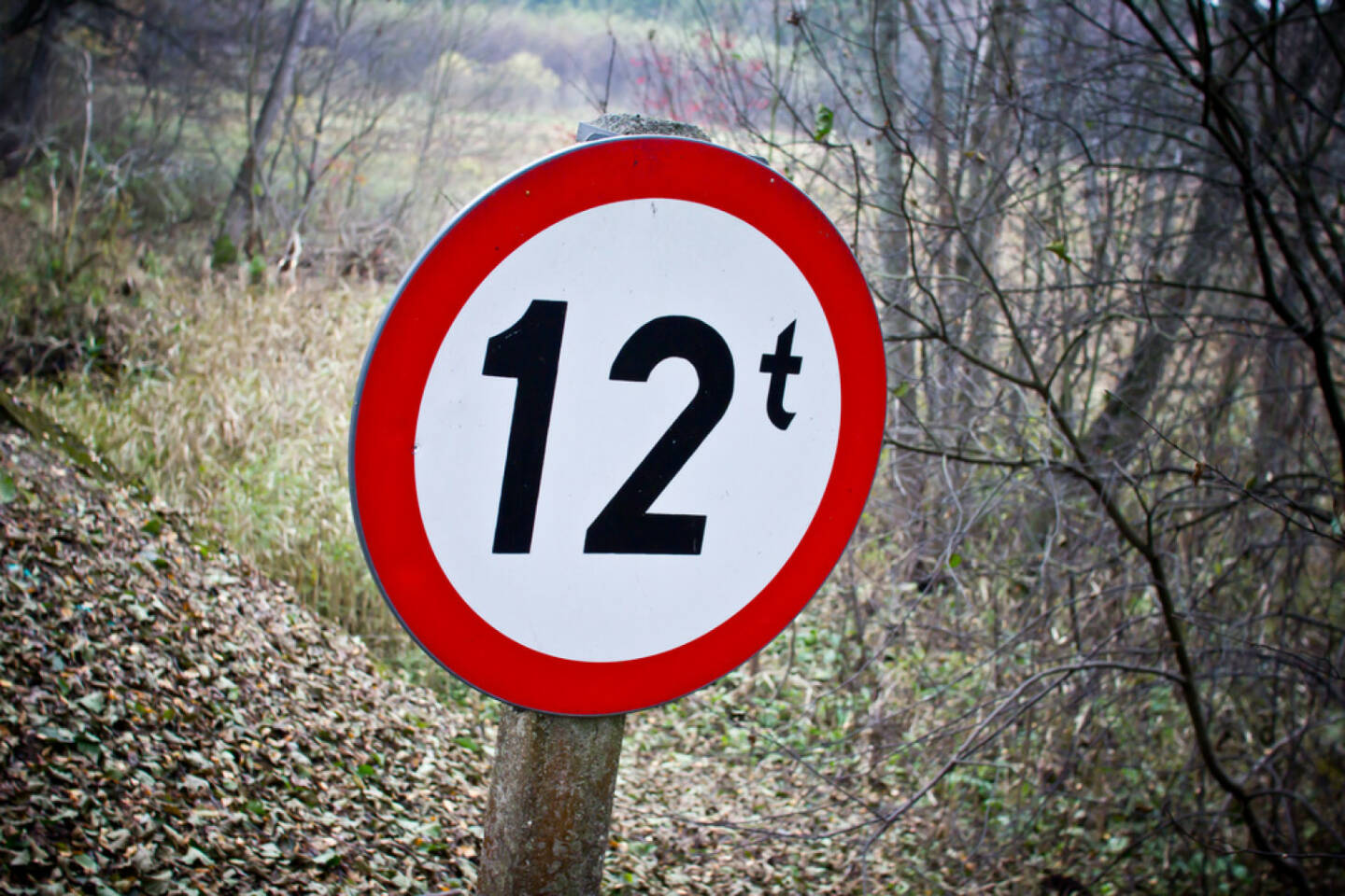 12, Zwölf, http://www.shutterstock.com/de/pic-159351332/stock-photo-weight-limitation-sign-in-forest-in-shape-of-circle.html 