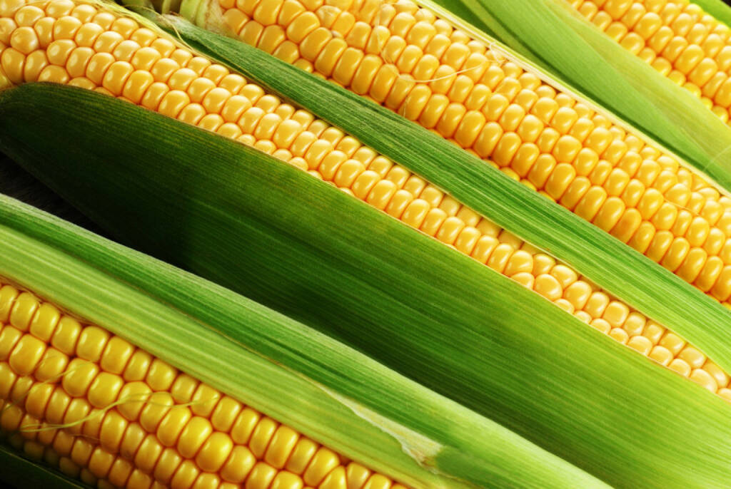 Mais, Rohstoff, http://www.shutterstock.com/de/pic-132971723/stock-photo-corn-cob-between-green-leaves.html , © (www.shutterstock.com) (04.07.2014) 