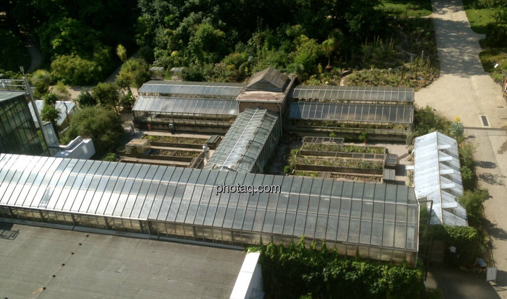 Botanischer Garten Wien, Blick aus dem Headquarter der CA Immo (08.07.2014) 