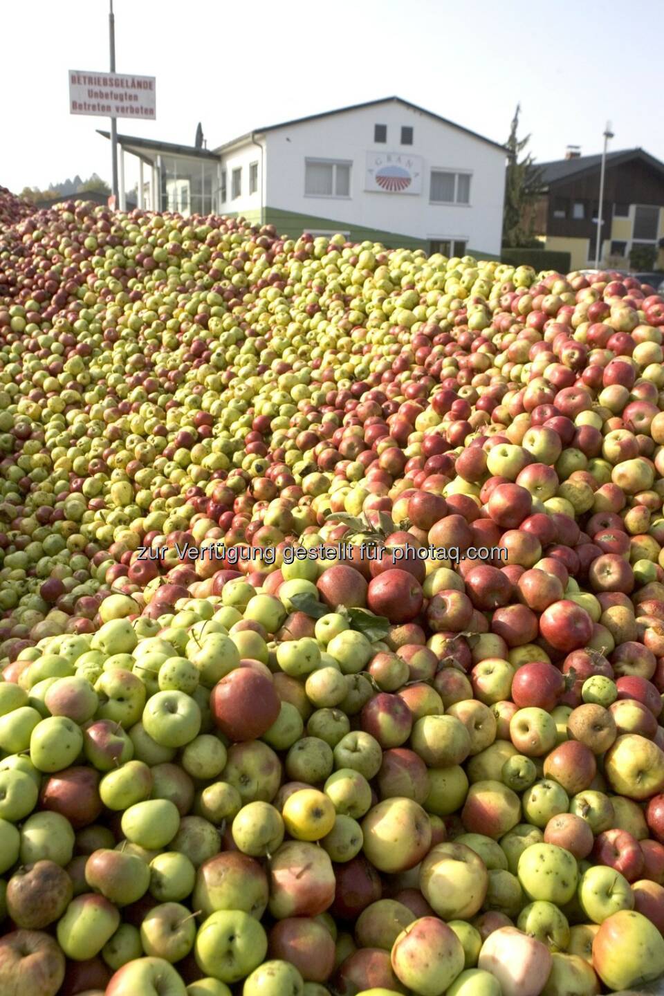Fruchtzubereitungs- und Fruchtssaftkonzentratswerk Gleisdorf, Äpfel, Apfel, Berg (Bild: Agrana)