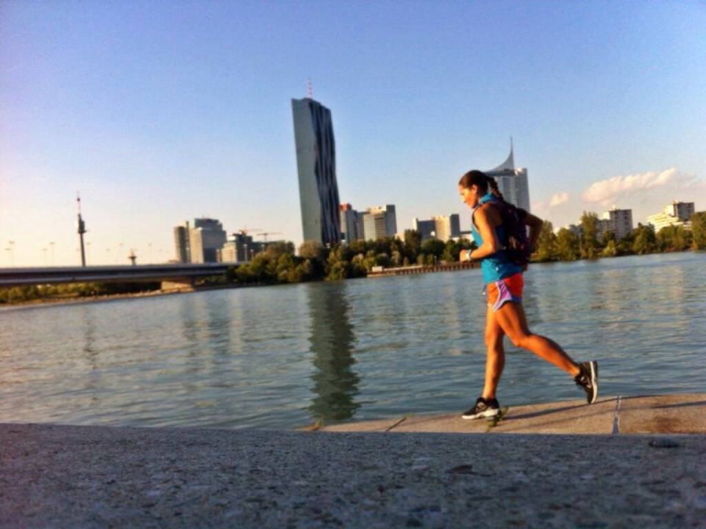 Wien Skyline Donauinsel Donauturm Laufen https://www.facebook.com/ (12.07.2014) 