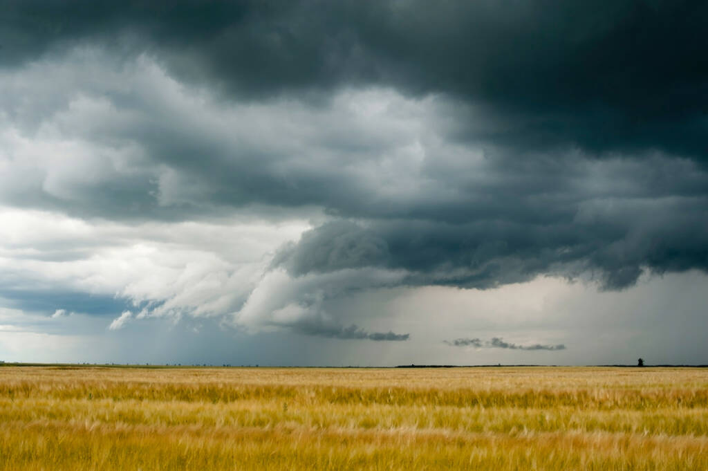 Wolken, dunkel, dunkle Wolken, Gewitter, Horizont, Feld, Weizen, Getreide, Schlechtwetter, Verdunklung, Sturm, http://www.shutterstock.com/de/pic-79450117/stock-photo-storm-dark-clouds-over-field.html  (15.07.2014) 