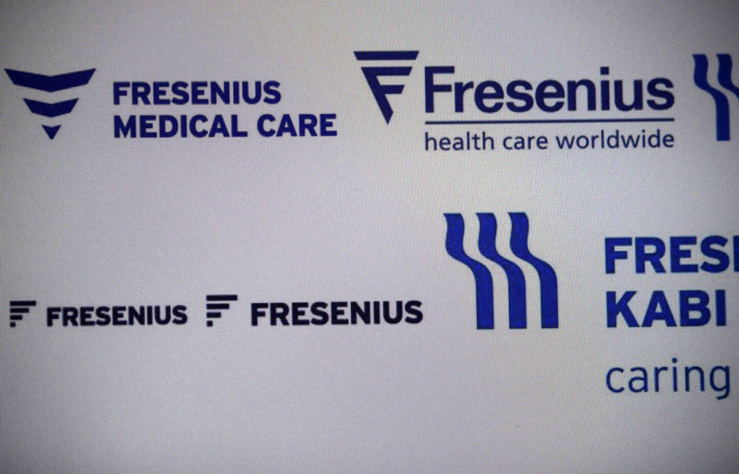 Fresenius, <a href=http://www.shutterstock.com/gallery-320989p1.html?cr=00&pl=edit-00>360b</a> / <a href=http://www.shutterstock.com/?cr=00&pl=edit-00>Shutterstock.com</a> , 360b / Shutterstock.com