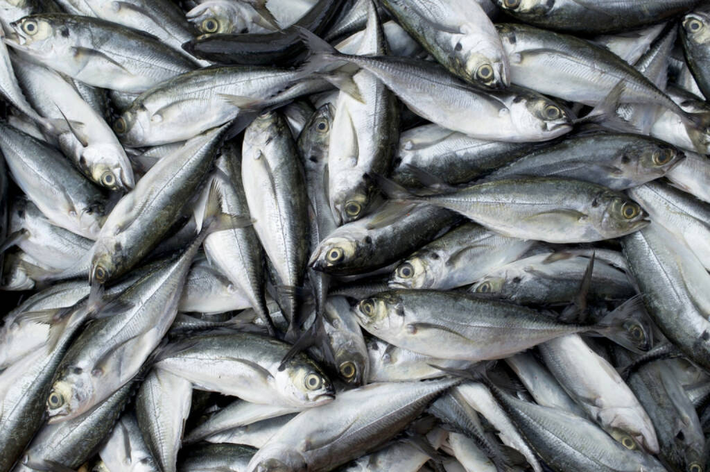 Fisch, http://www.shutterstock.com/de/pic-159785522/stock-photo-fresh-fish-in-market-pattani-thailand.html, © www.shutterstock.com (25.07.2014) 