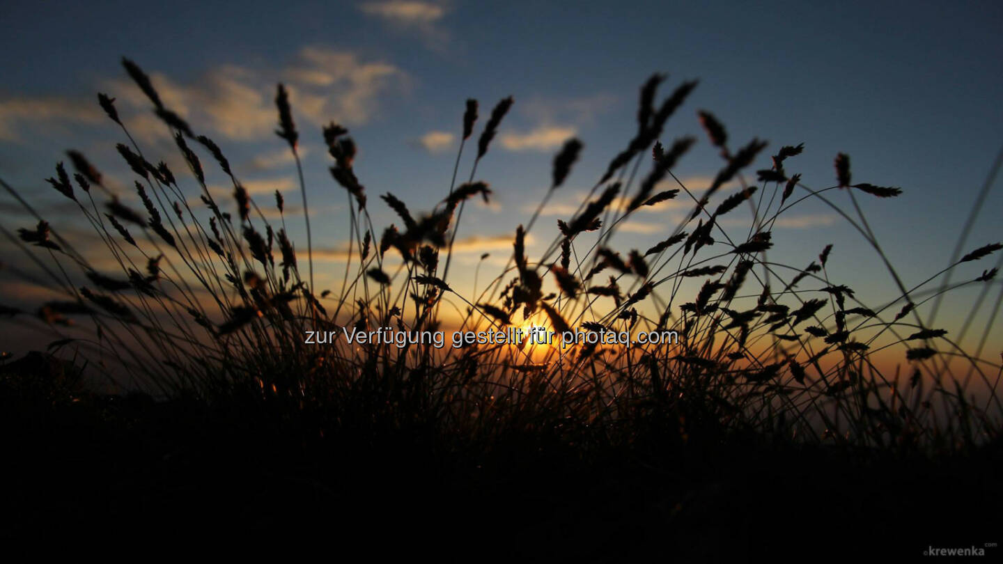 http://www.sunshinemoments.at/