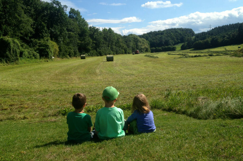 Landwirtschaft, Bauern, Ausblick, © diverse Handypics mit freundlicher Genehmigung von photaq.com-Freunden (18.08.2014) 