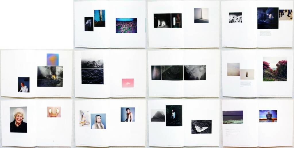 Der Greif - A Process - Ein Prozess, Der Greif, 2014, Beispielseiten, sample spreads - http://josefchladek.com/book/der_greif_-_a_process, © (c) josefchladek.com (27.08.2014) 