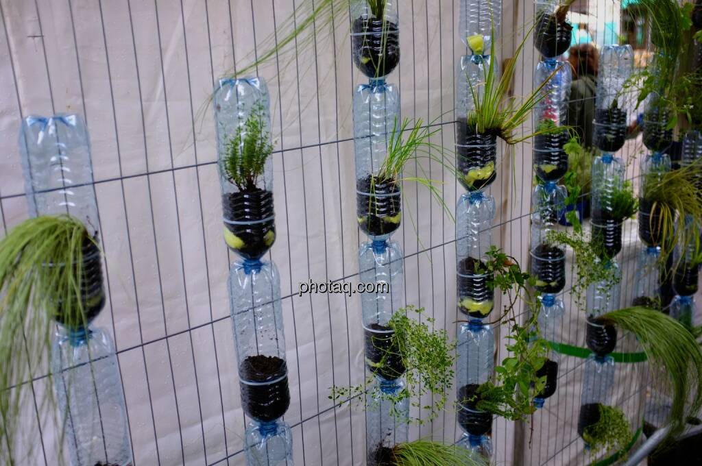 Pflanzen, Plastikflaschen, Streetlife Festival 2014, © photaq.com (14.09.2014)