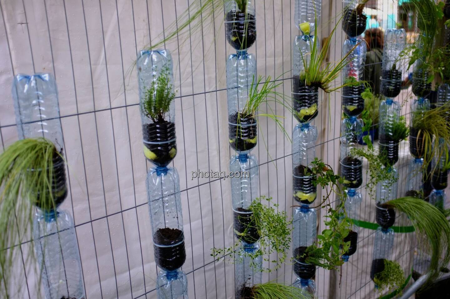 Pflanzen, Plastikflaschen, Streetlife Festival 2014