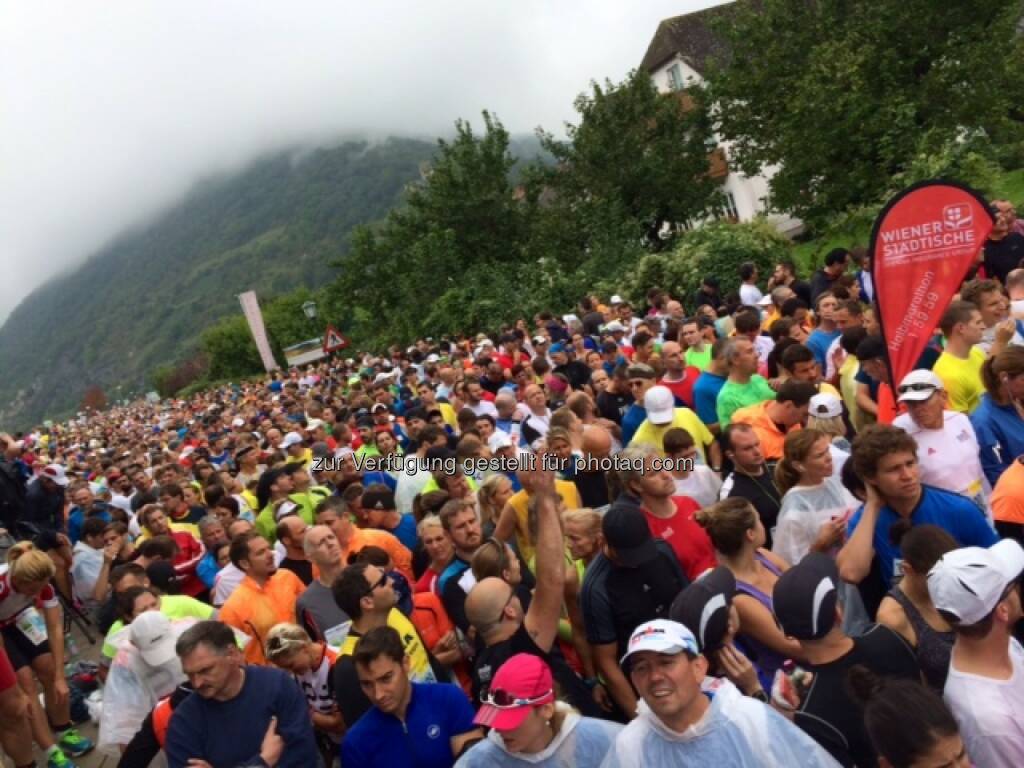 Wachau Marathon 2014, Start, © Milena Ioveva  (14.09.2014) 