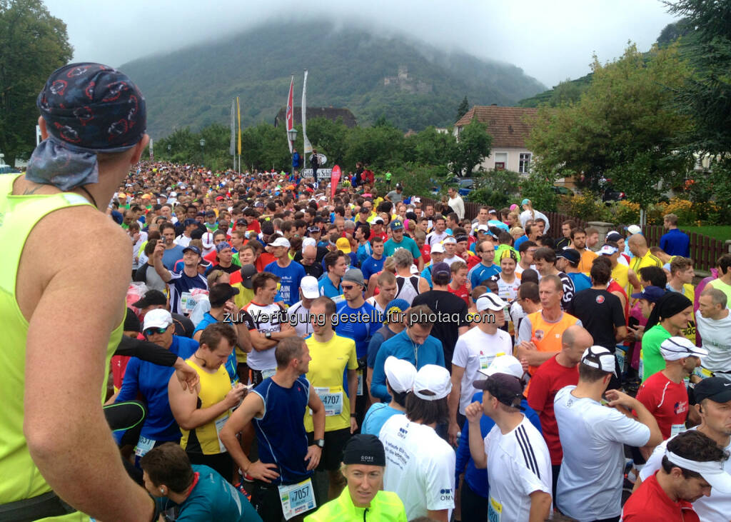 Start Wachau Halbamarathon in Spitz, © Milena Ioveva  (15.09.2014) 