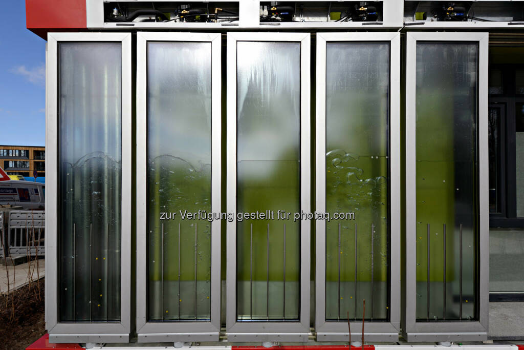 Arup Deutschland GmbH mit „SolarLeaf“ Siegerprojekt in der Kategorie Applied Innovations © Colt, SSC, Arup (23.09.2014)