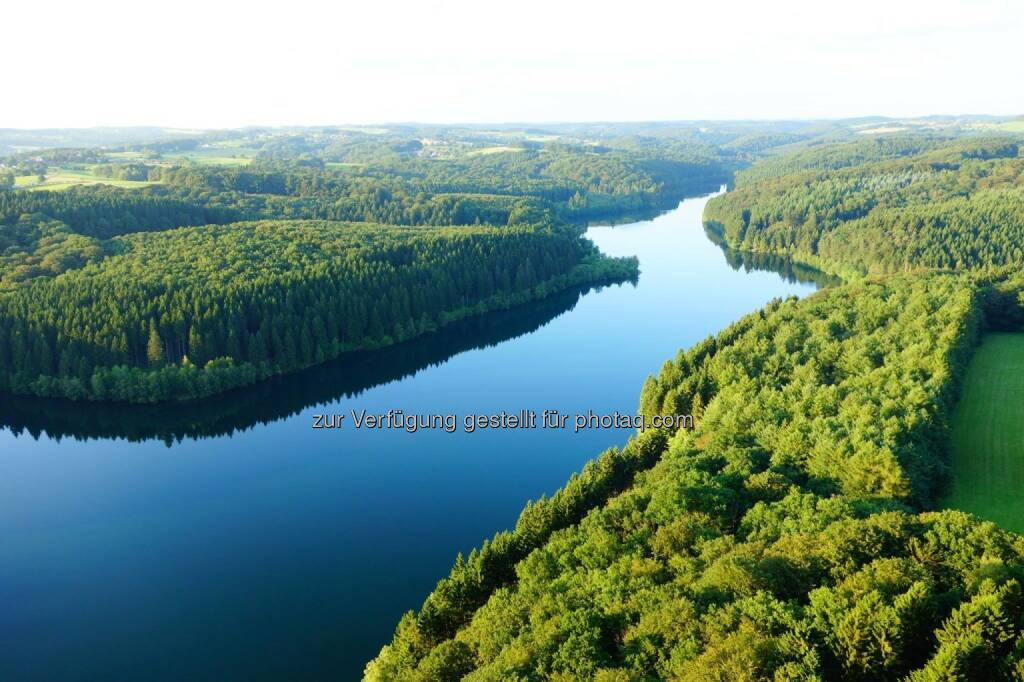 Wald Wasser (27.09.2014) 