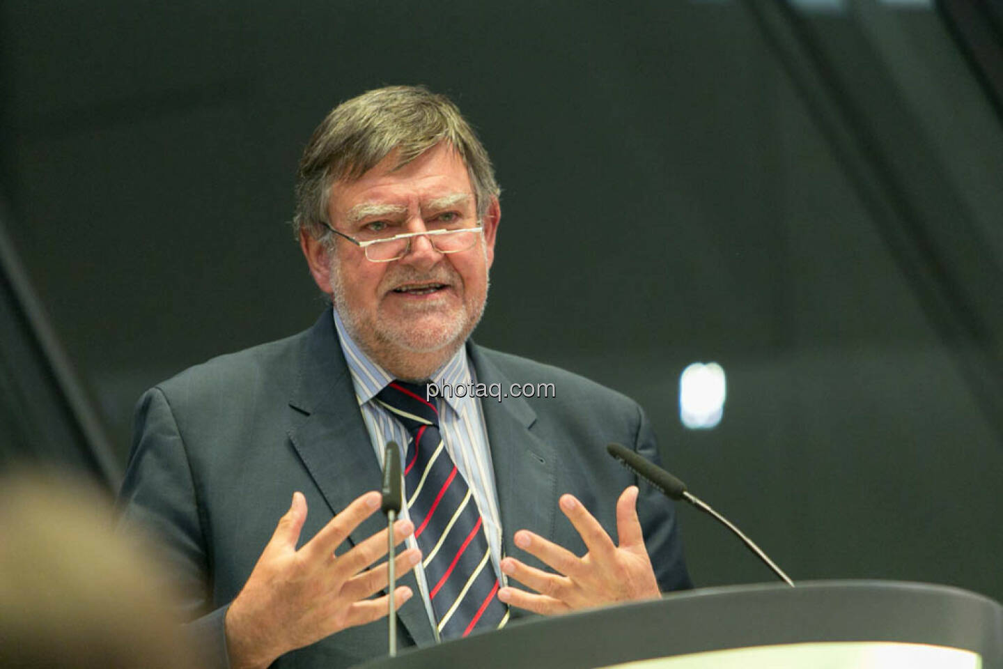 Herbert Stepic (Raiffeisen)
