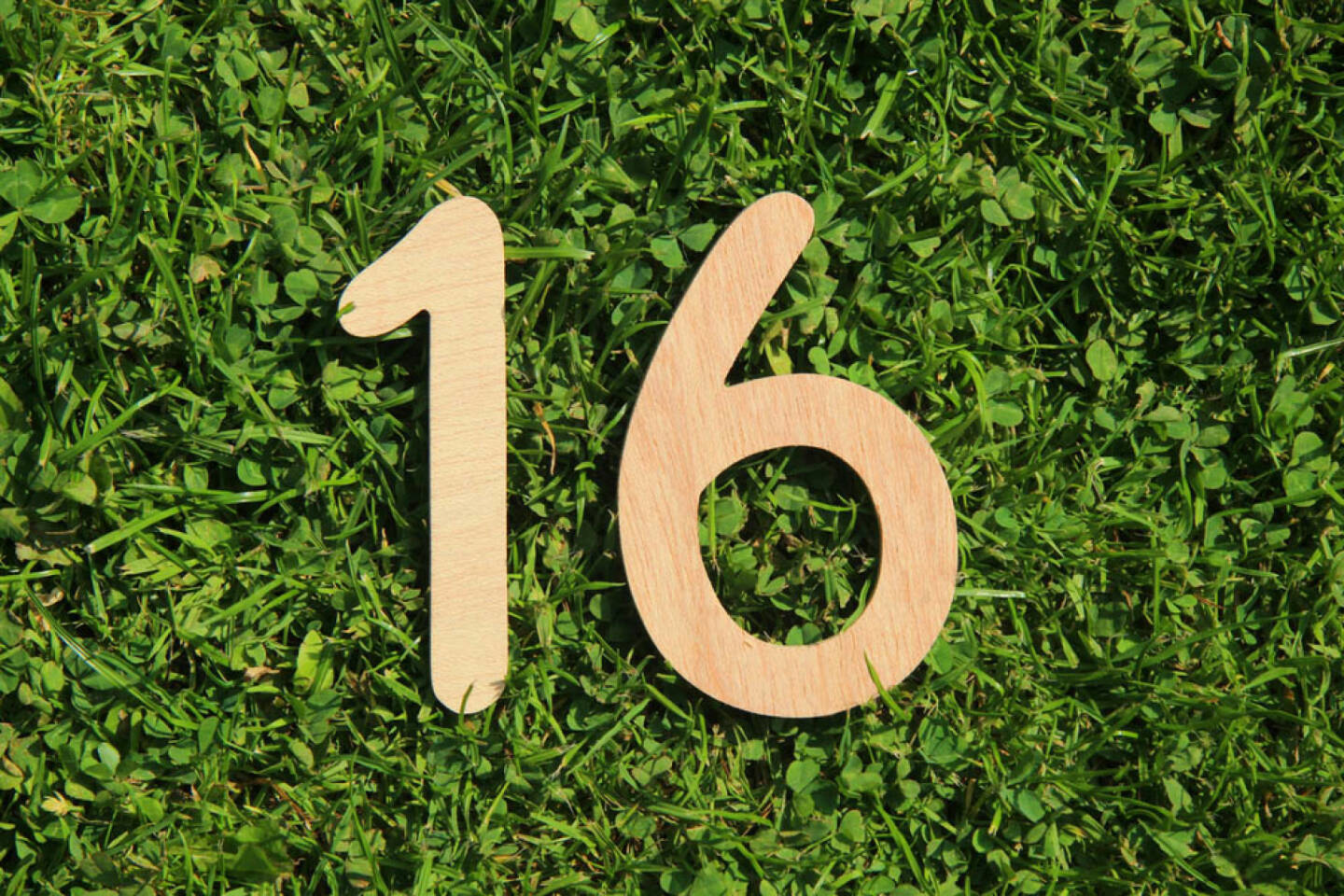 16, Sechzehn, http://www.shutterstock.com/de/pic-144992860/stock-photo-wooden-number-on-a-grass-and-clover-background.html